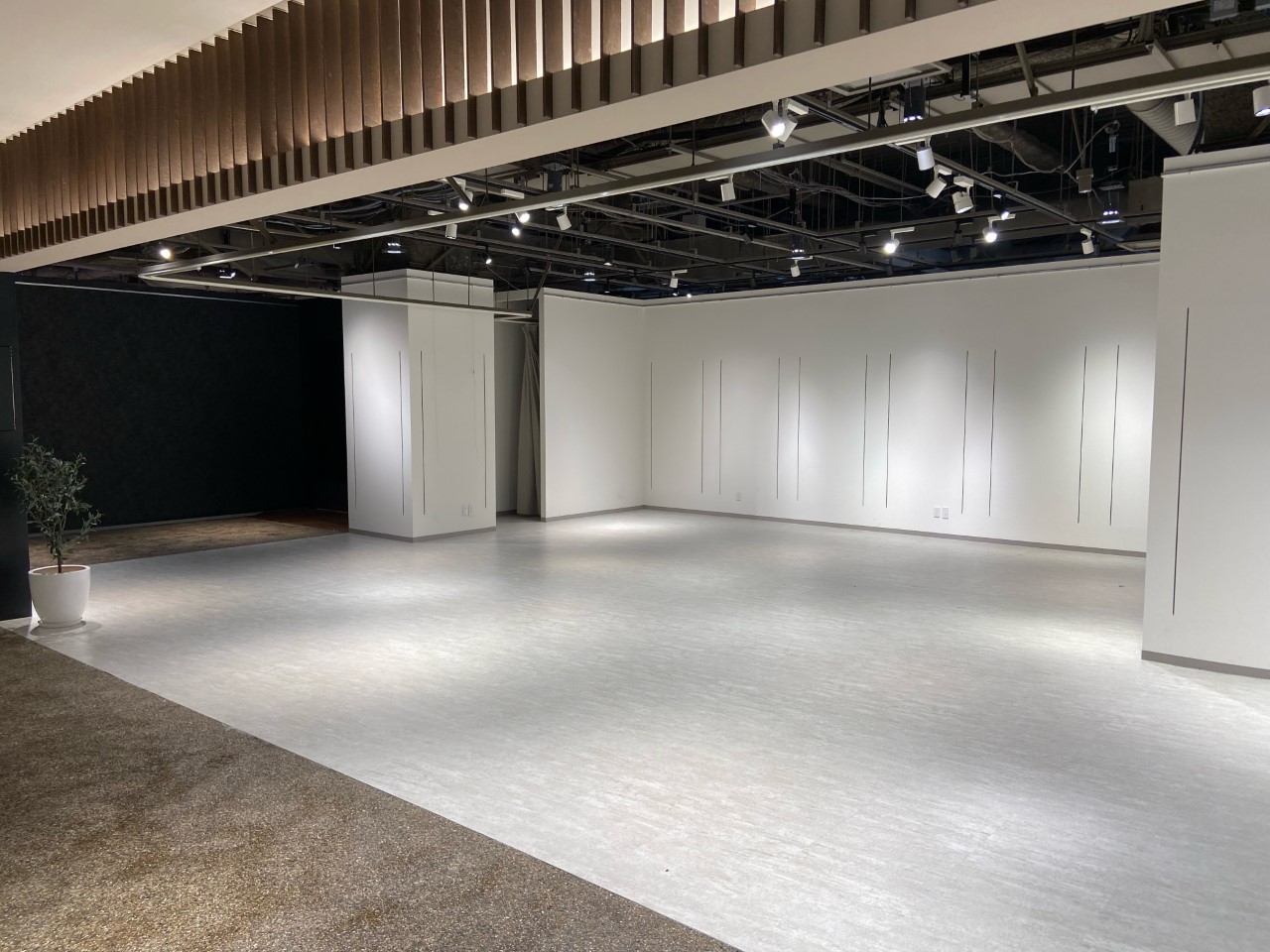 “ZARD LIVE GALLERY”有楽町マルイ8点セット ZARD LIVE GALLERY”有楽町マルイ8点セット 期間限定 paldepa POPUP